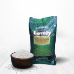 Daawat Lovely Kolam Rice